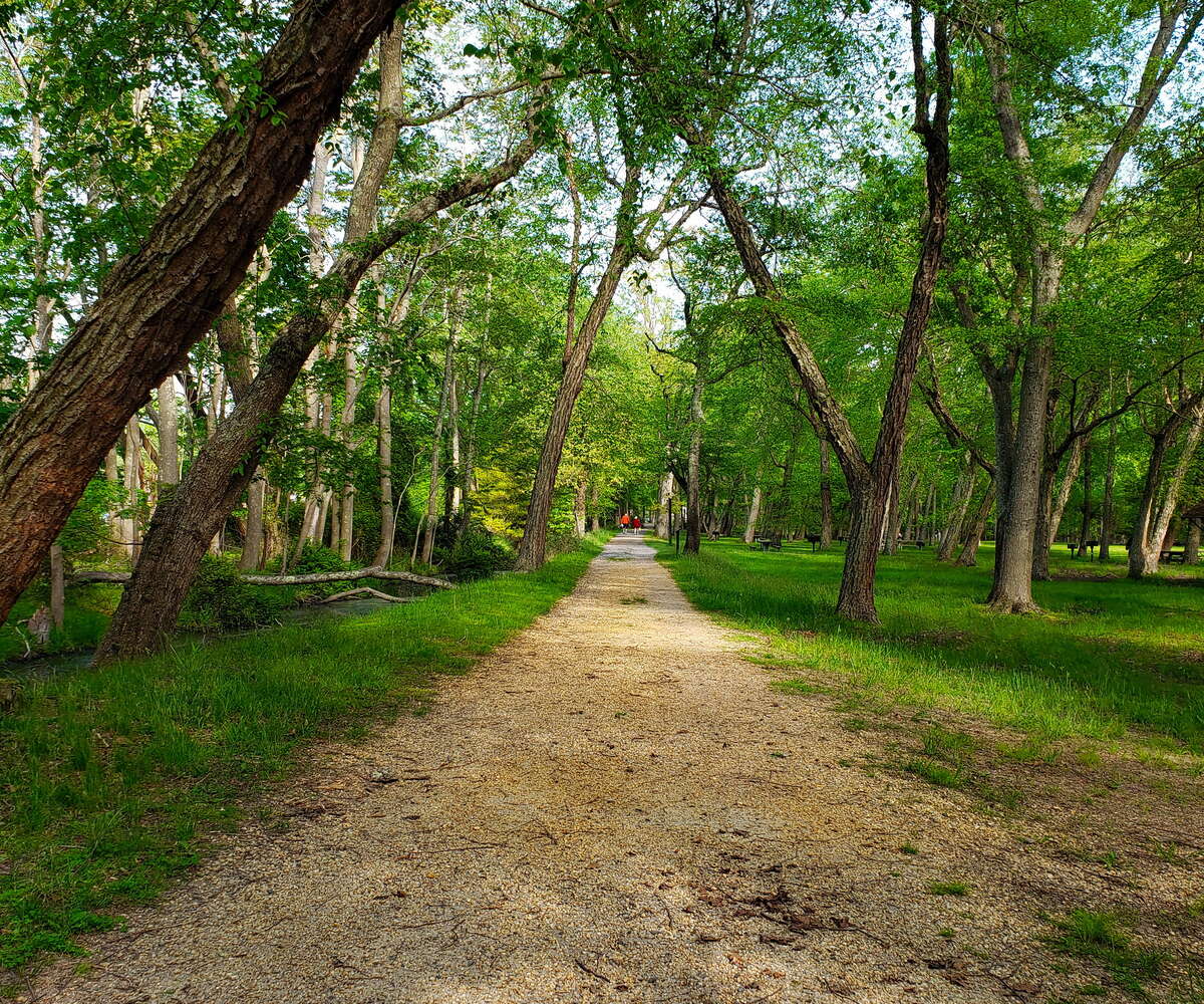 Exploring Allaire State Park
